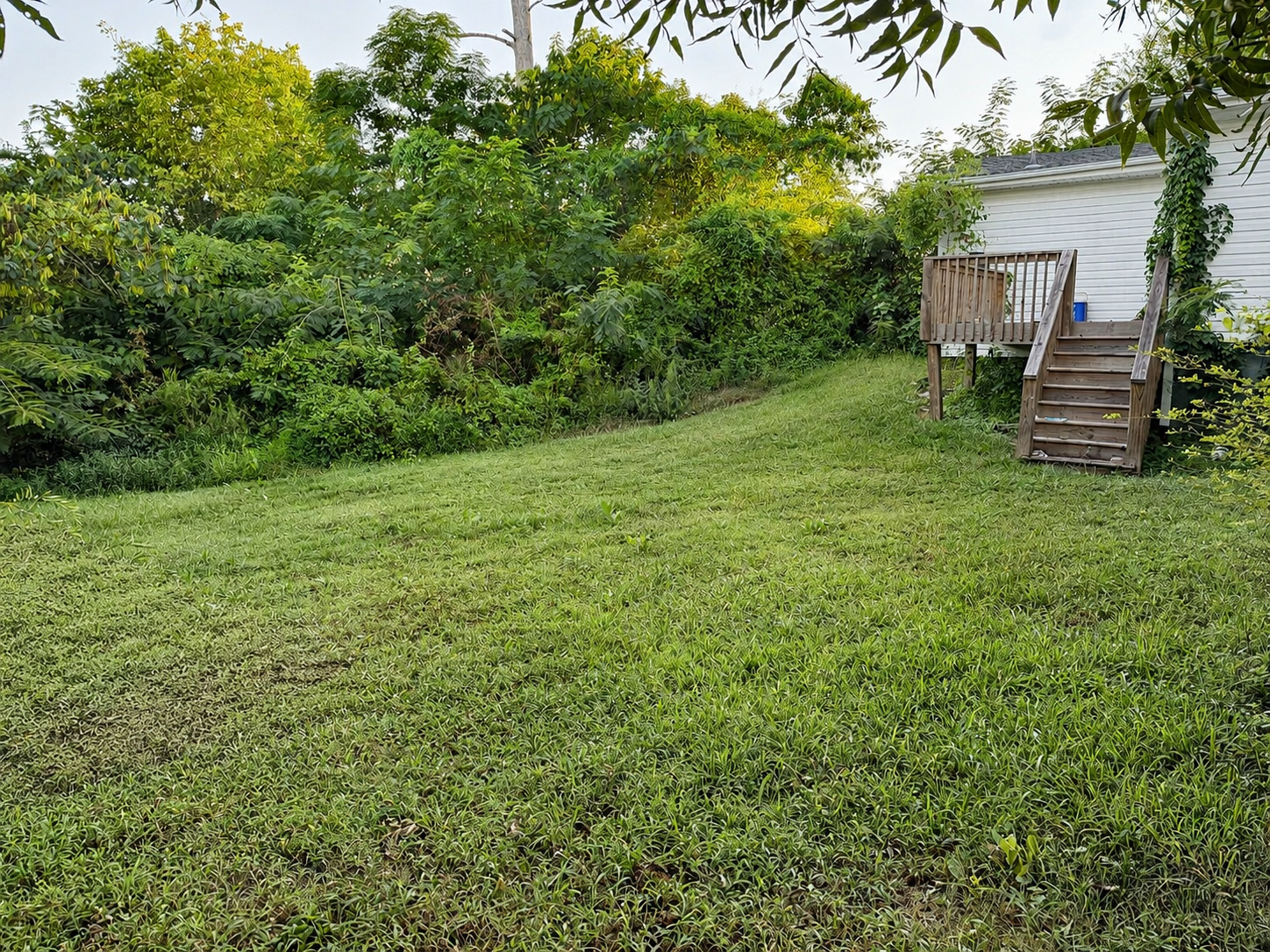 Recently completed Clean As A Gunn lawn-care project 3