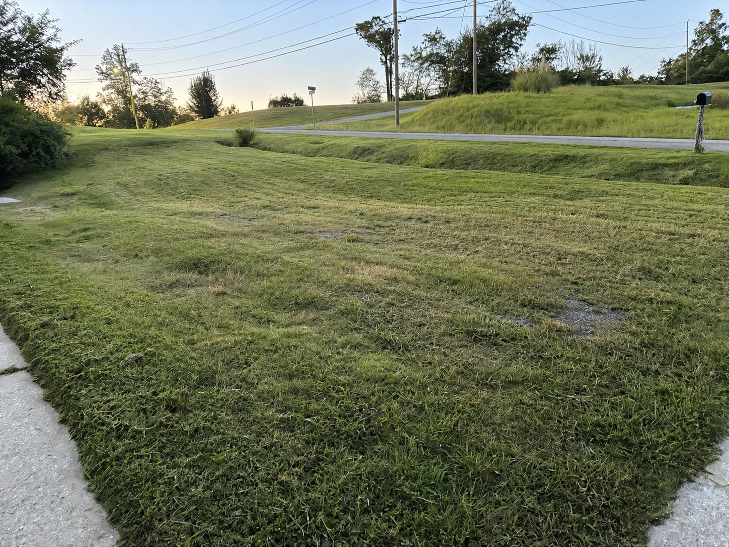 Recently completed Clean As A Gunn lawn-care project 5