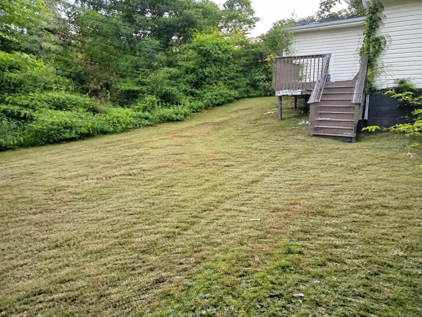 Recently completed Clean As A Gunn lawn-care project 8