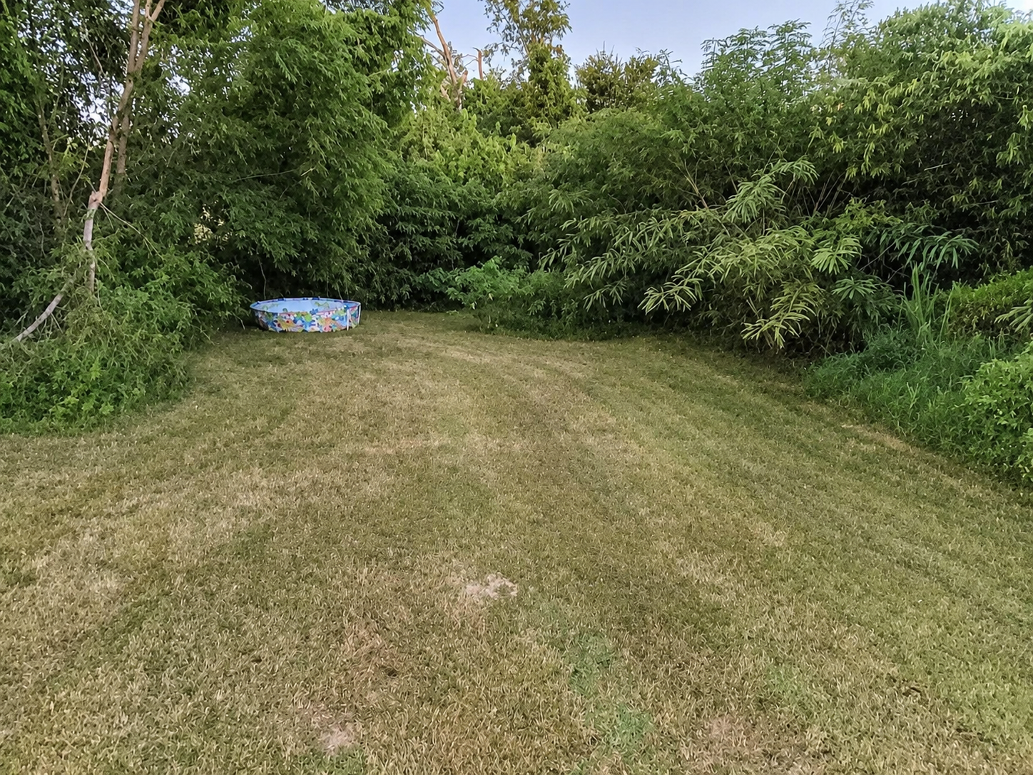 Recently completed Clean As A Gunn lawn-care project 9