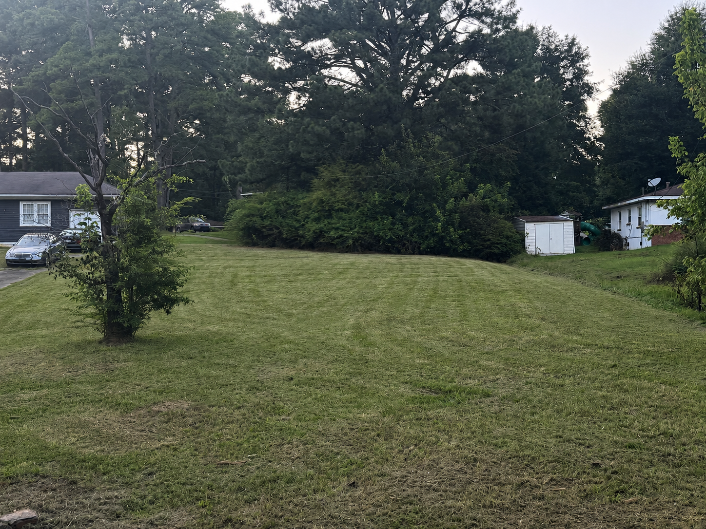 Freshly cut Clean As A Gunn lawn 3