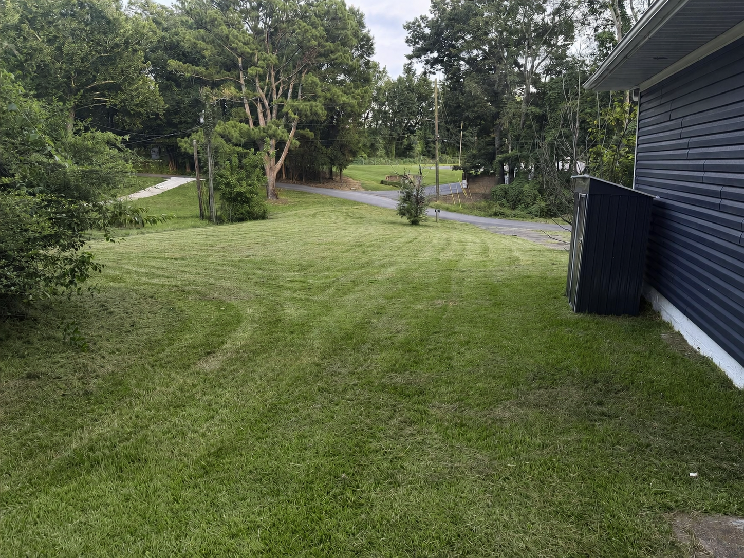 Freshly cut Clean As A Gunn lawn 4