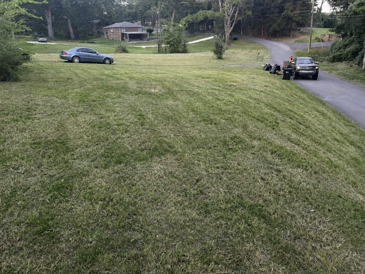 Freshly cut Clean As A Gunn lawn 6