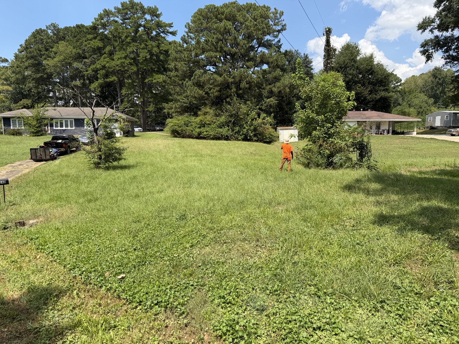 Clean As A Gunn lawn project before service 1