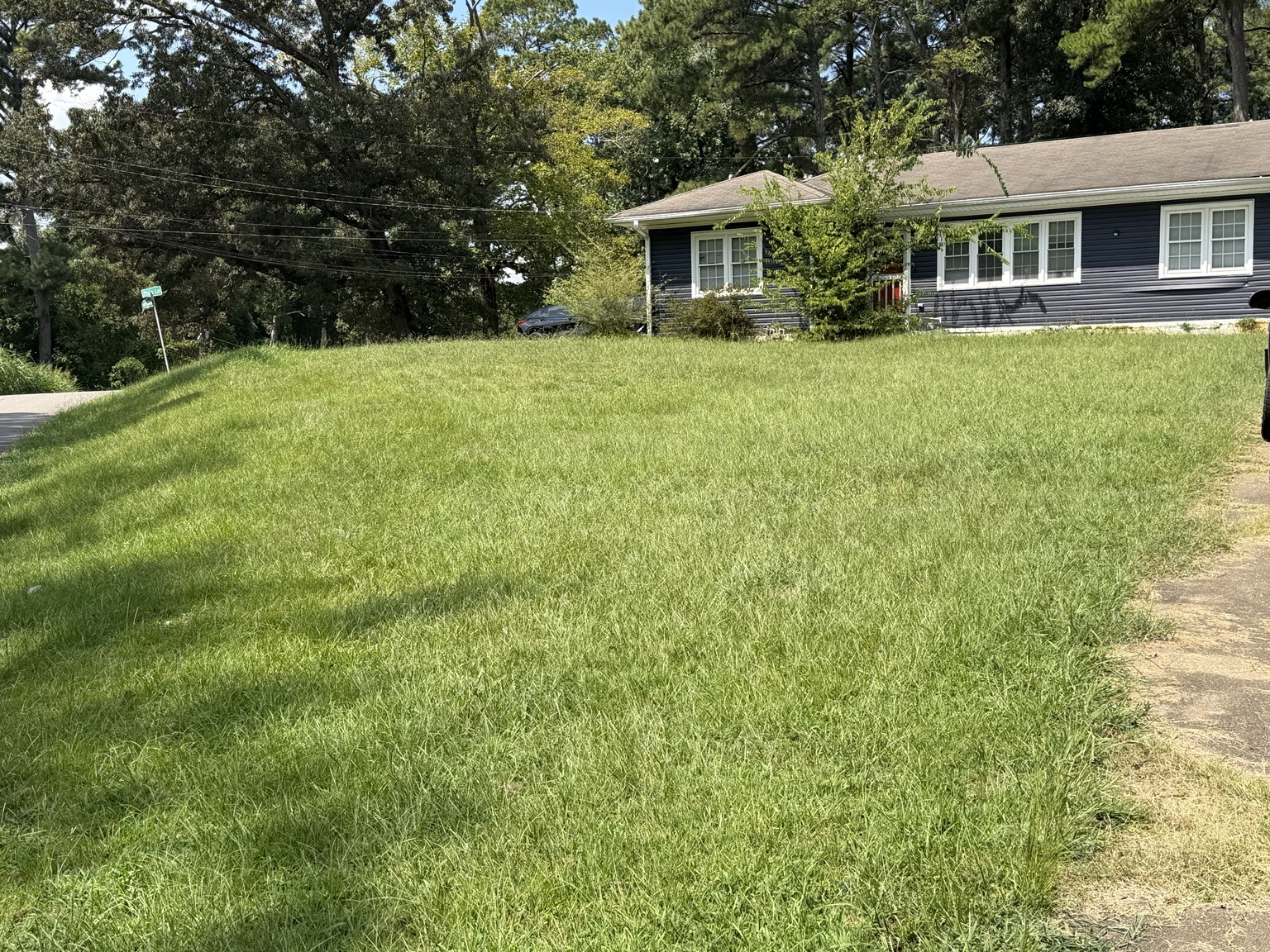 Clean As A Gunn lawn project before service 4