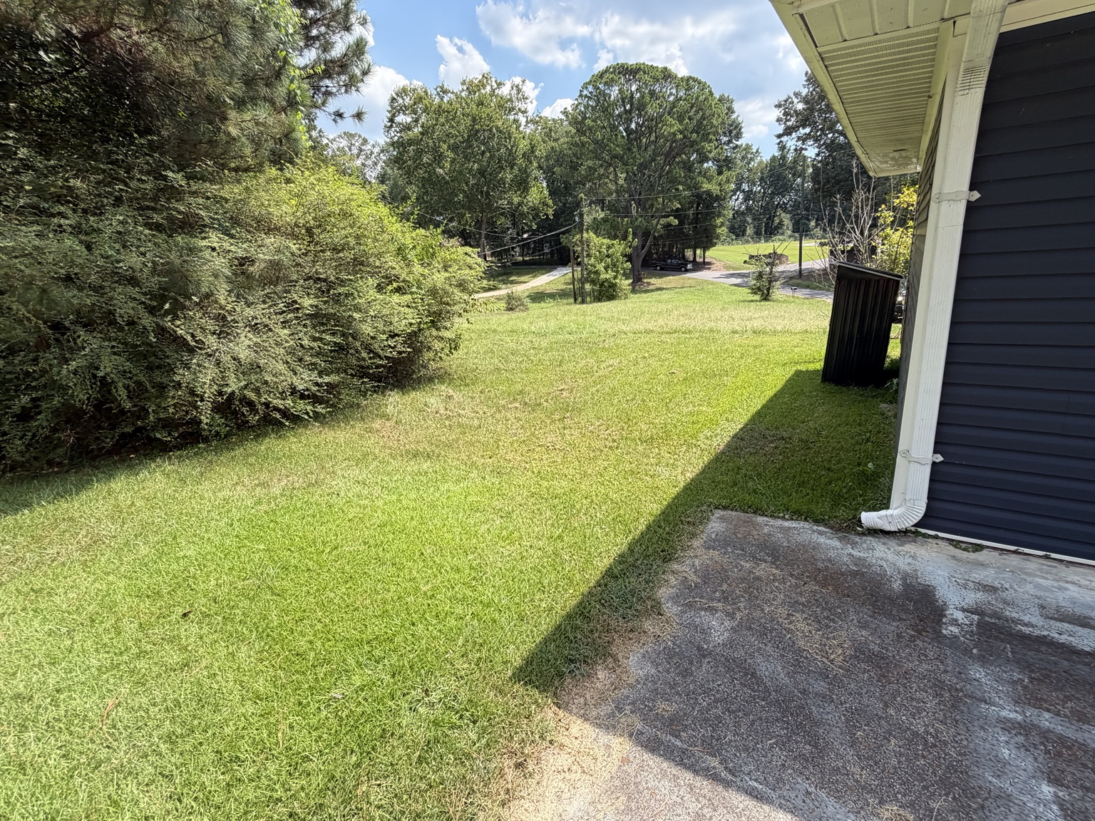 Clean As A Gunn lawn project before service 5