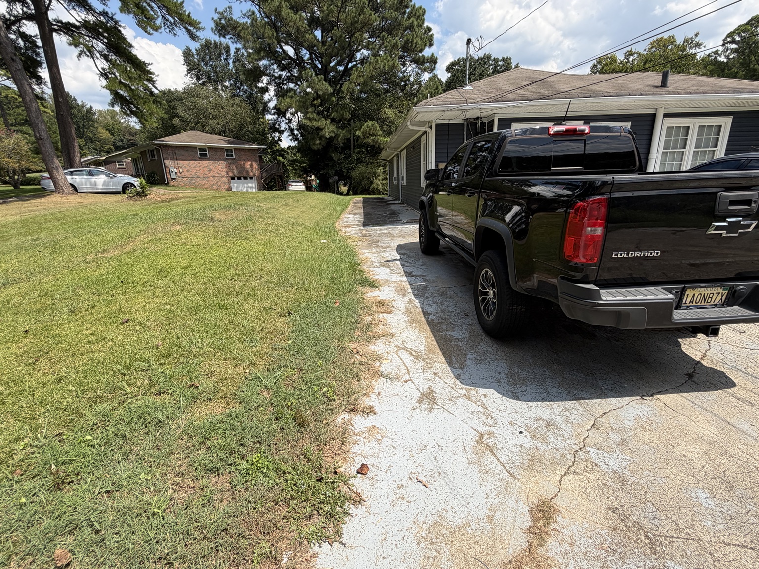 Clean As A Gunn lawn project before service 6