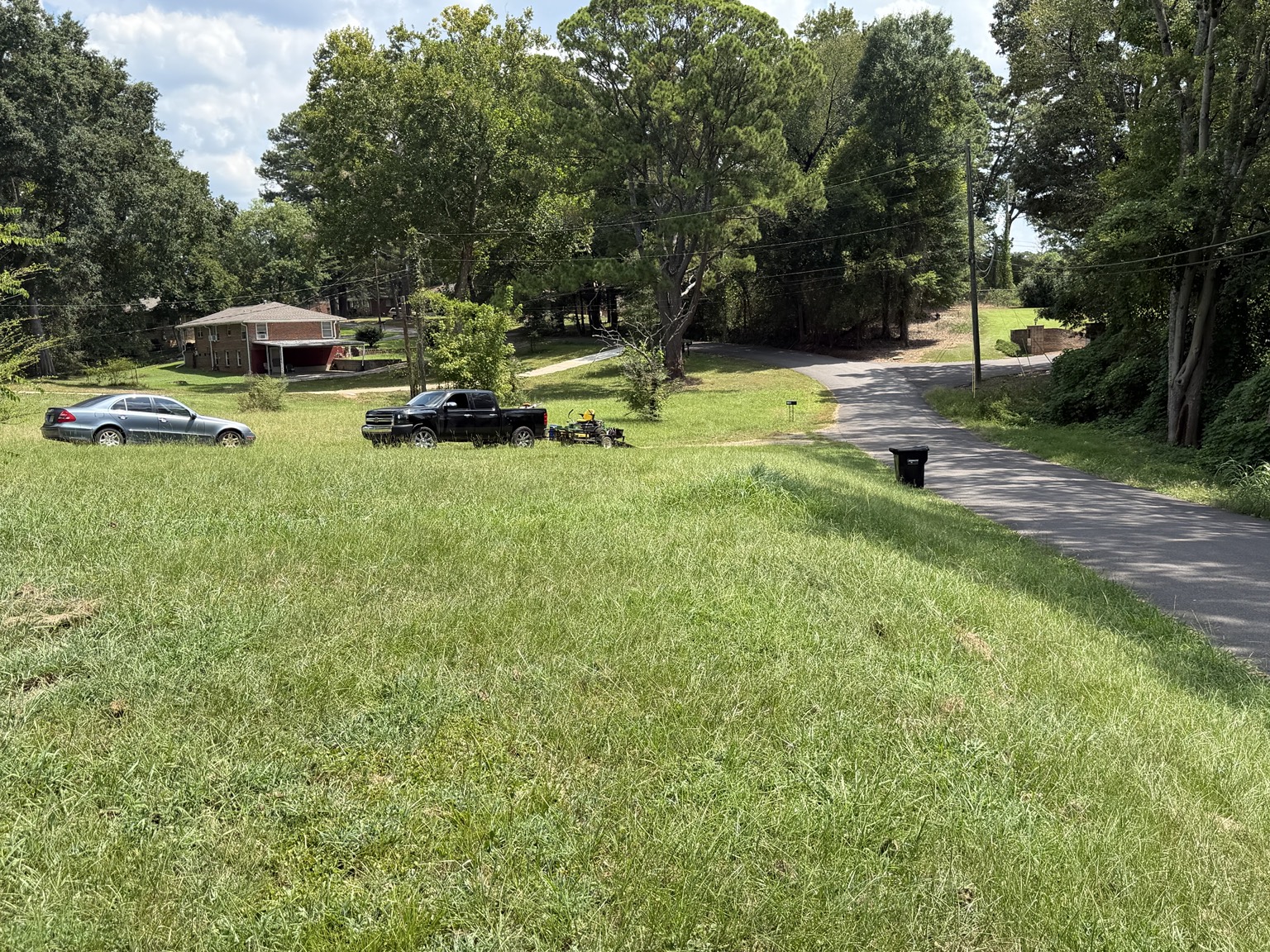 Clean As A Gunn lawn project before service 8